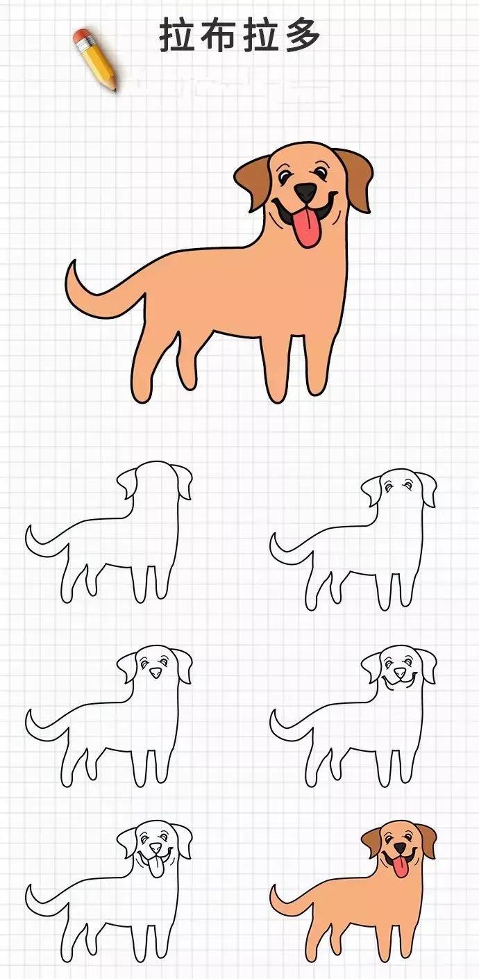 可爱狗狗简笔画图片大全（分享哈士奇、柯基等20种狗狗可爱简笔画）