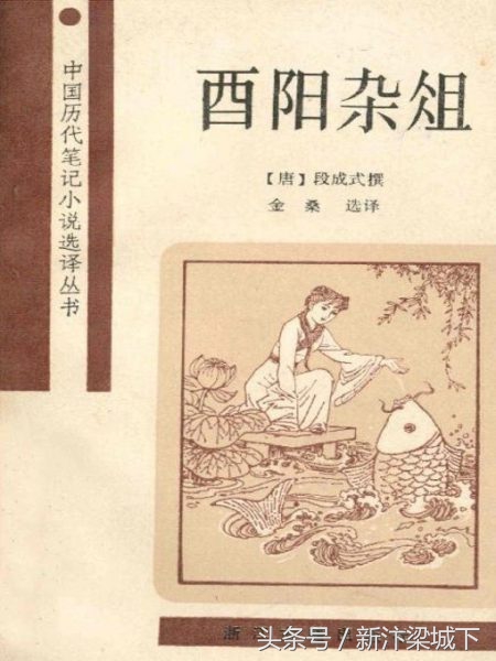 唐朝段成式小说酉阳杂俎·叶限，中国版的灰姑娘