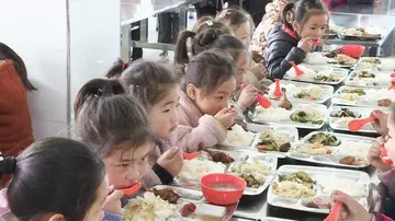 2022学校食品安全心得体会范本（校园营养健康心得感悟范例）