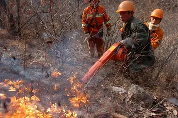2022森林防火安全心得体会范本（森林防火教育心得感悟范例）