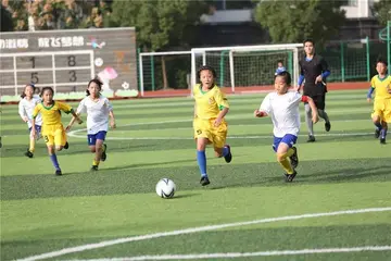 2022小学足球活动总结范文（小学足球策划总结范例）