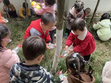 2022幼儿园植树节活动方案及总结（幼儿园植树节策划方案及简报）