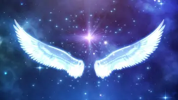 天使的翅膀600字作文（纯洁无瑕的的天使）
