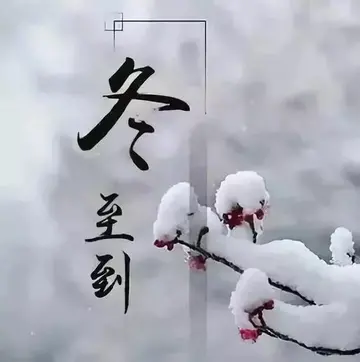 描写冬至的饺子作文（《美好的冬天》）