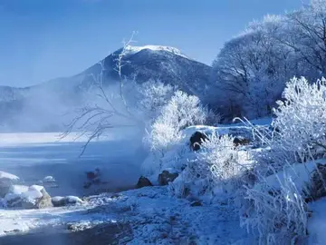 冬天的景色作文（《迷人的冬天》）