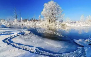 关于西湖的冬天作文（《欢乐的冬天》）