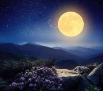 关于月光的句子（月光曼妙：一个月下的静谧夜晚）