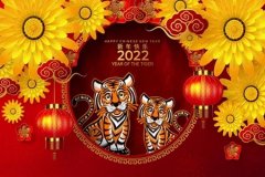 有关2023虎年新年祝福语精选的好句有哪些（2023虎年新年祝福语：唯美短句精选）