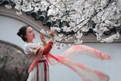 中国古人赏樱及樱花文化，关于樱花的古诗词品读