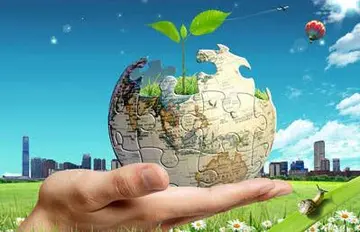 2022学校六五世界环境日活动总结范例（6.5世界环境日主题宣传活动总结范本）