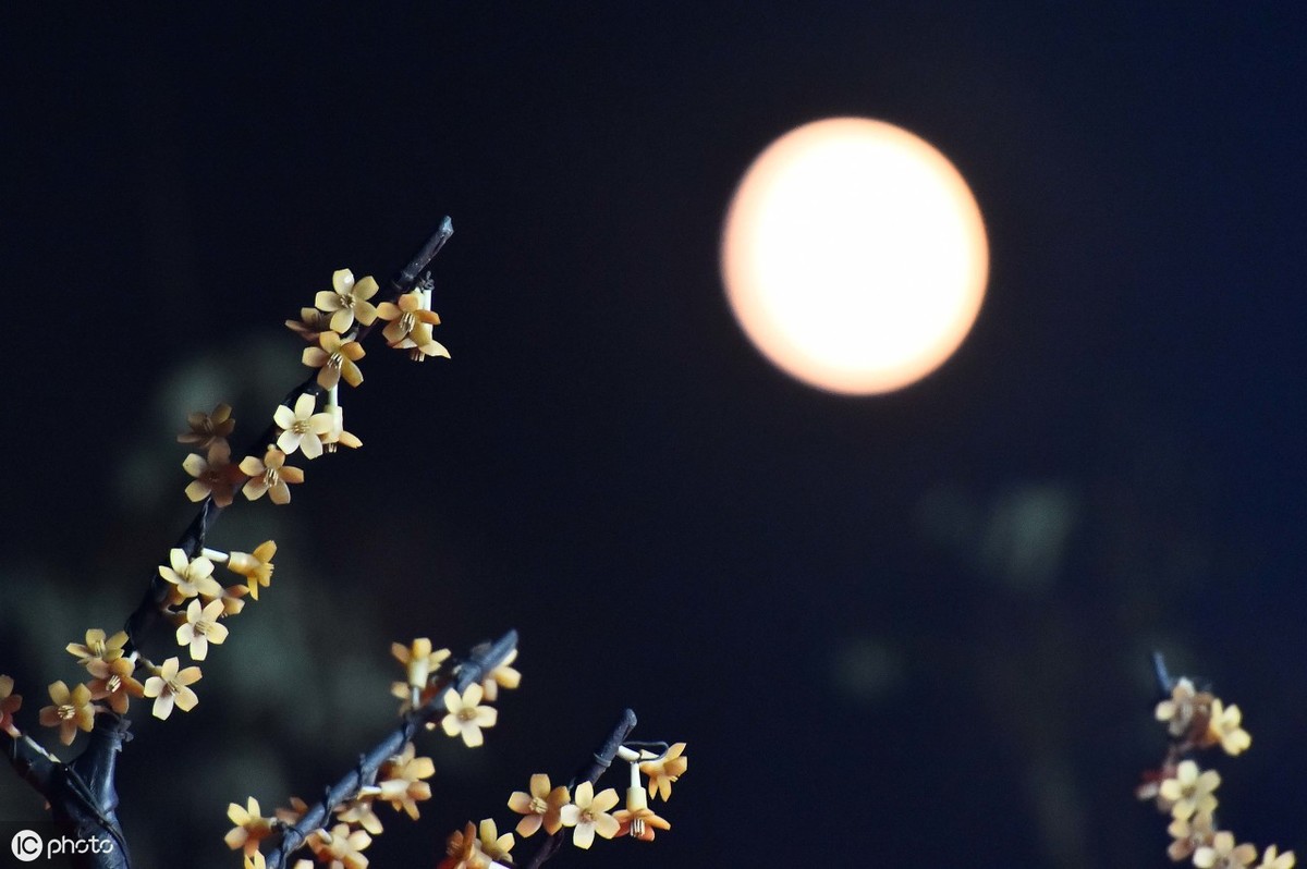 古诗十五夜望月描写的中秋月色的诗句是什么_百度知道