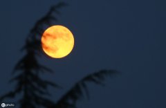 十五夜望月诗意简短（今日中秋，伴着美丽的月光）