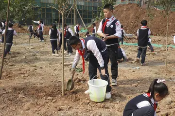 2022增强责任感小学生植树节活动总结模板（小学植树节生态环保宣传工作总结范本）