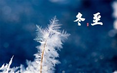 有关冬至祝福语中文简短文案（吉祥如意，圆圆满满）