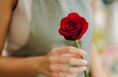 关于玫瑰的浪漫小众文案（玫瑰捧起篝火，追忆它少年时爱的日落）