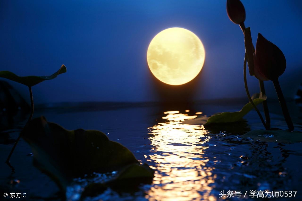 描写月光的优美句子赏析（月光如水，静静地洒在地上）-我爱育娃
