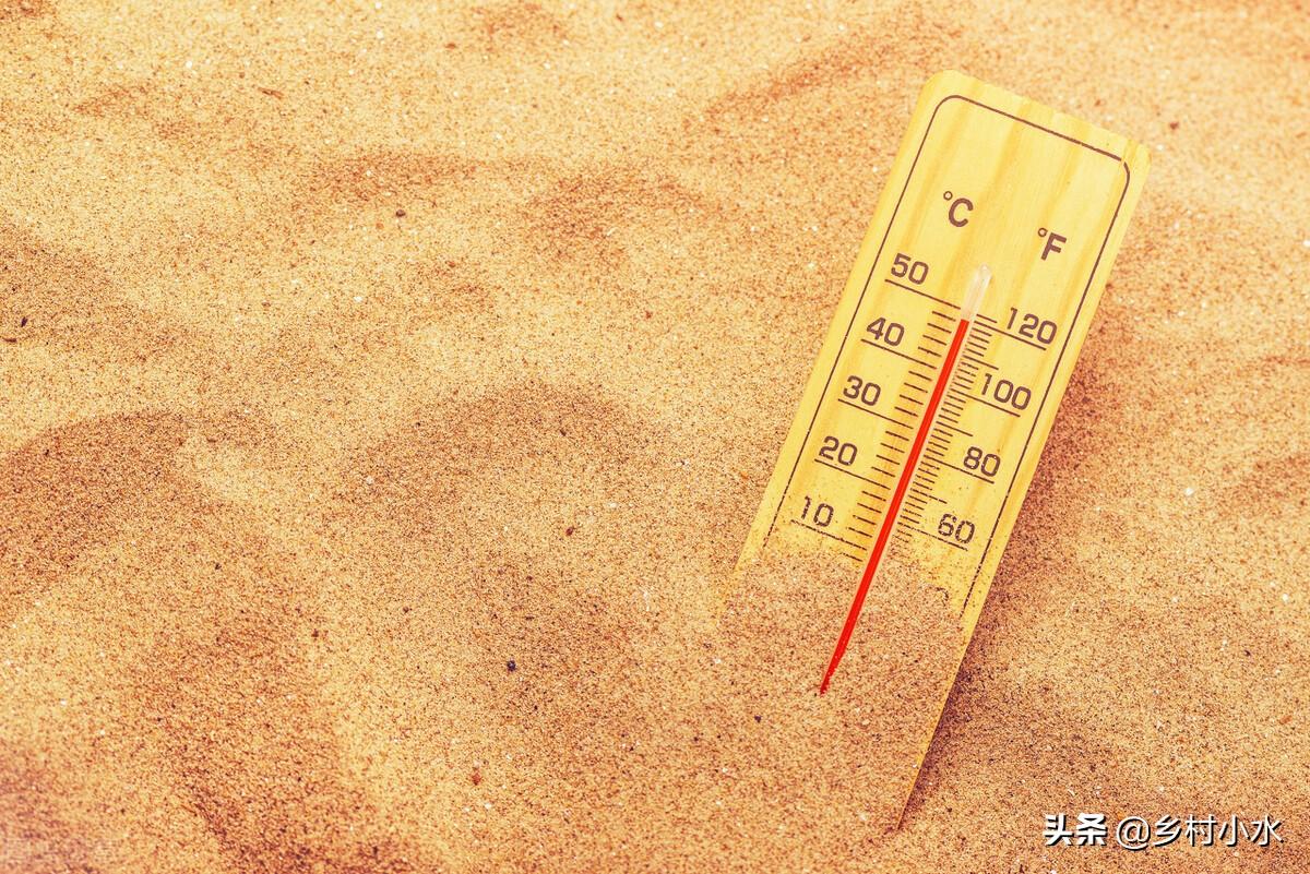 关于处暑的6句俗语（处暑天不暑，炎热在中午）