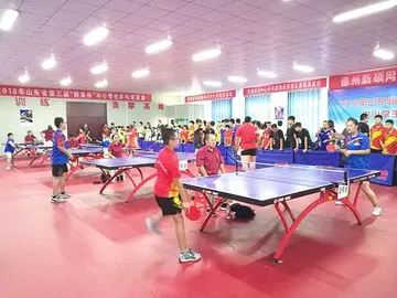2022校园乒乓球比赛活动方案范文（学校乒乓球大赛策划方案范例）