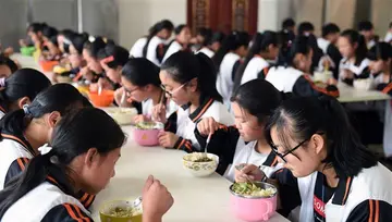 2022学生营养日主题教育总结范例（中国学生营养日策划总结范文）
