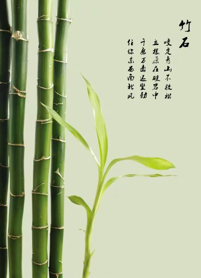描写竹子的诗句(关于竹子经典古诗）