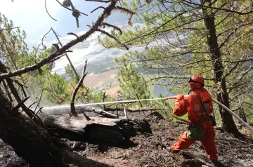 2022森林火灾预防工作方案模板（森林防火扑火实施方案范本）