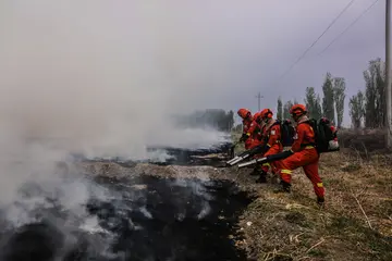 2022森林火灾预防工作方案模板（森林防火扑火实施方案范本）
