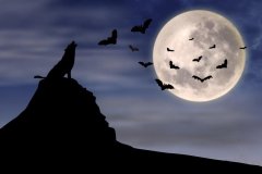 月出惊山鸟，时鸣春涧中（描写月亮的古诗句）