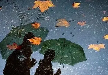 适合秋雨的文案句子（关于秋雨的唯美句子）