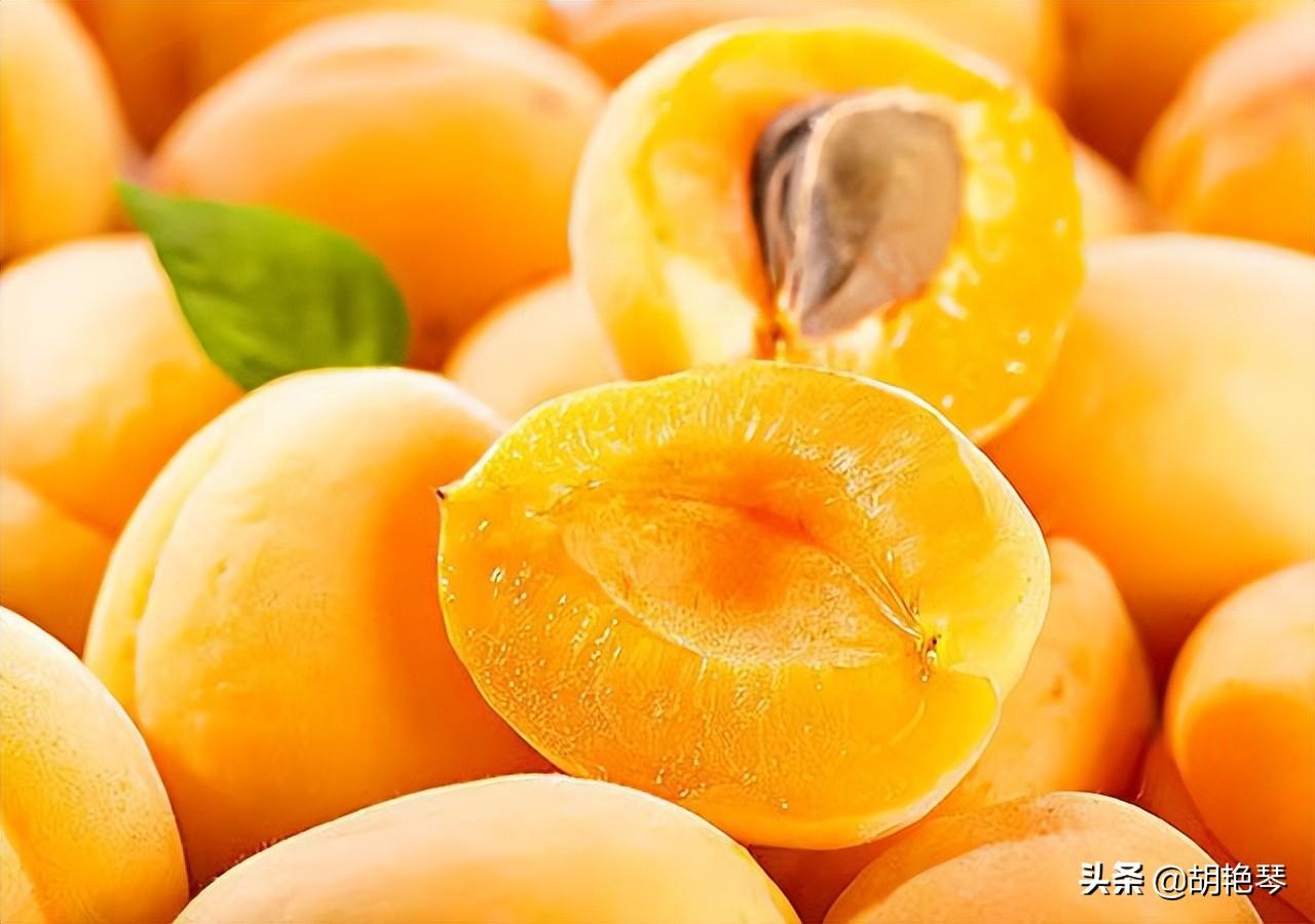 有关杏子诗词鉴赏（关于杏仁的诗句）喜欢这明媚的黄杏