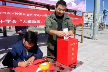 捐卵