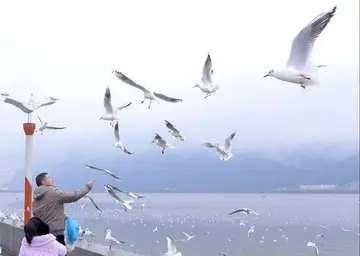 见证捐卵如何创造一个充满爱的世界
