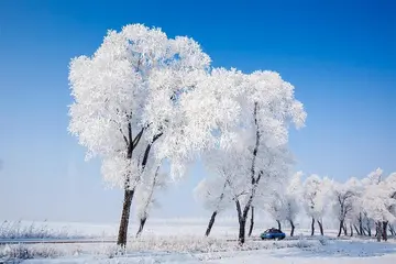 冬天的景色作文（《欢乐的冬天》）
