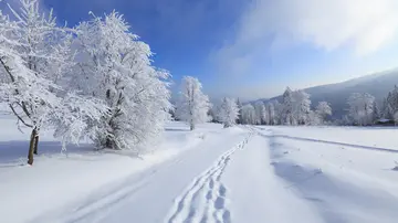 农村的冬天作文（《迷人的冬天》）