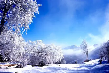 冬天的童话作文（《可爱的冬天》）