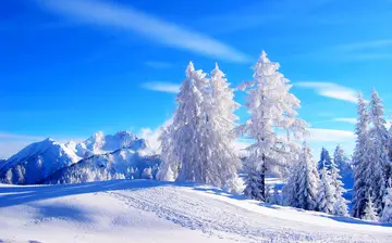 温暖的冬天作文（《可爱的冬天》）