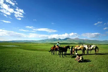 内蒙古的草原作文（《美丽的草原》）