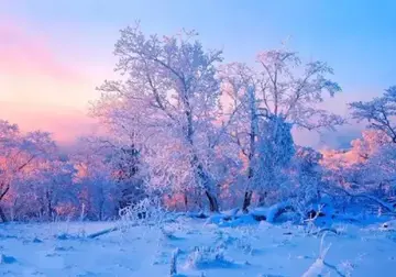 关于冬日的美景作文（《秋天的美景》）