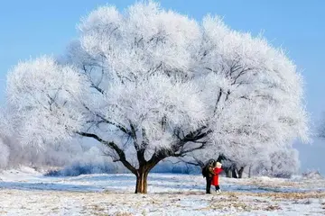 冬天的美景作文（《家乡的美景》）