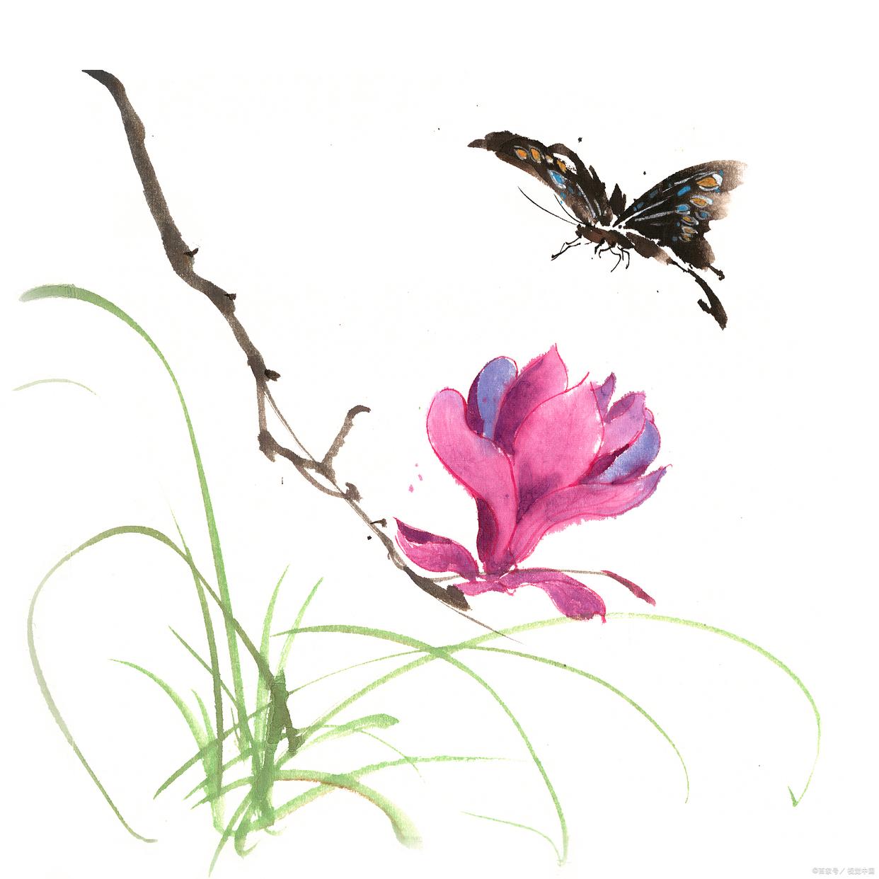蝶恋花的诗词名句，7首色彩斑斓《蝶恋花》